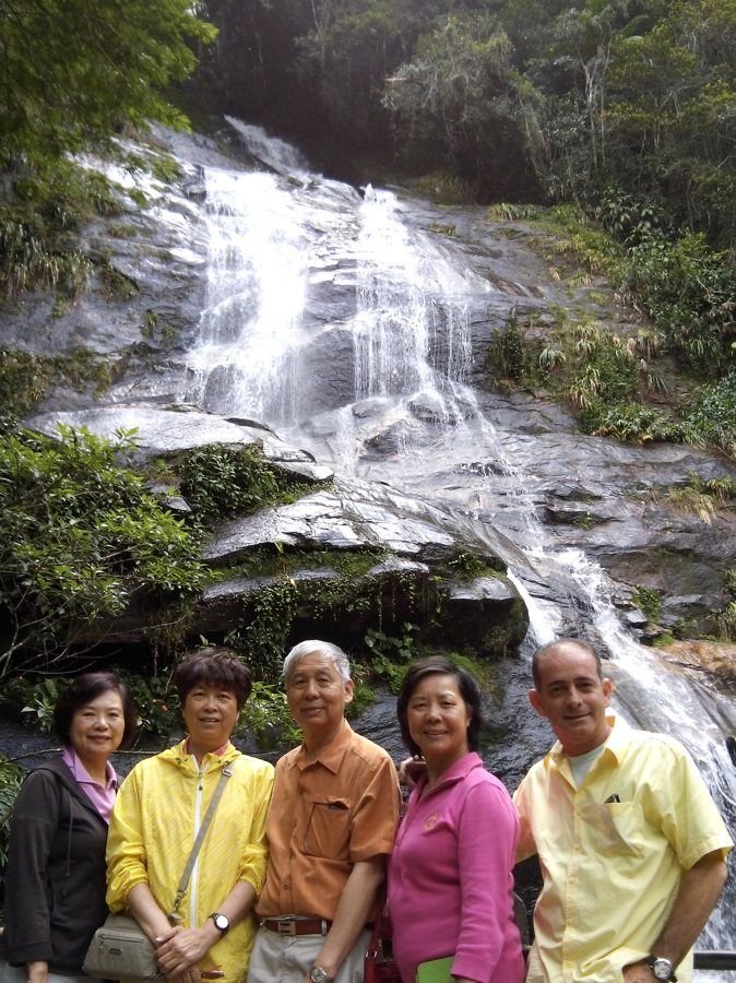 Tijuca Forest